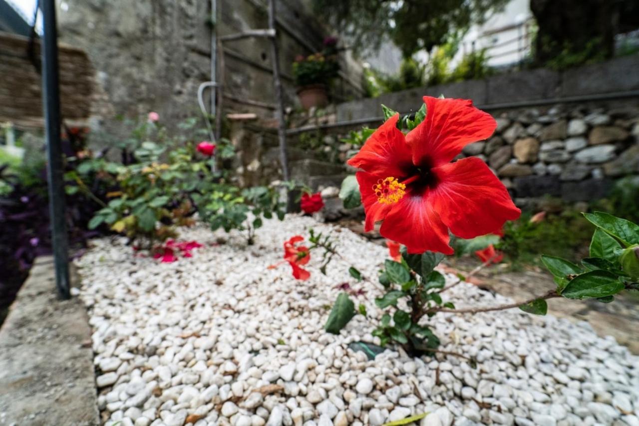 Villetta La Pietra Taormina Eksteriør bilde